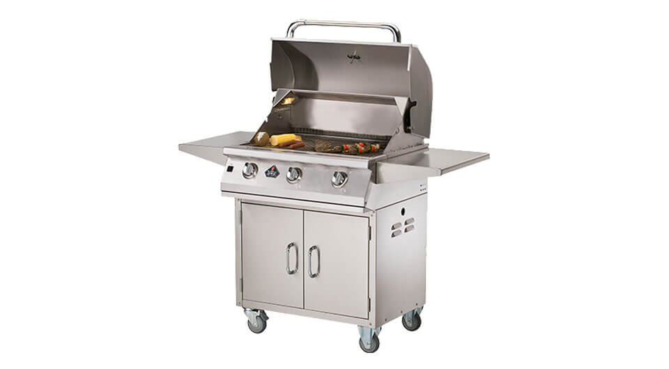 BBQ Gas Grill